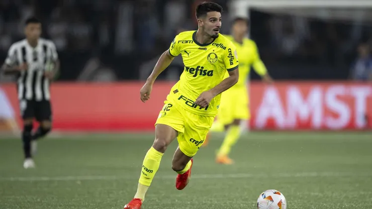 Palmeiras precisa de vitória sobre o Botafogo para avançar na Libertadores (Foto: AGIF / Alamy Stock Photo)