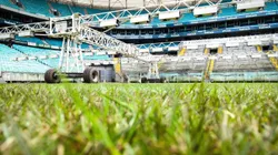 Gramado da Arena Foto: (Arena do Grêmio)