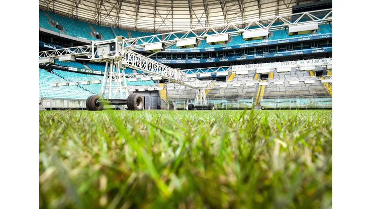 Gramado da Arena Foto: (Arena do Grêmio)