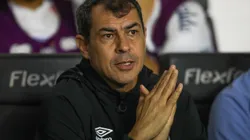 Fabio Carille, tecnico do Santos durante partida contra o Chapecoense na Vila Belmiro pelo campeonato Brasileiro B 2024