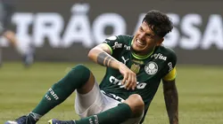 SAO PAULO, BRAZIL - DECEMBER 03: Gustavo Gomez of Palmeiras celebrates after winning a match between Palmeiras and Fluminense as part of Brasileirao Series A 2023 at Allianz Parque on December 03, 2023 in Sao Paulo, Brazil. (Photo by Ricardo Moreira/Getty Images)