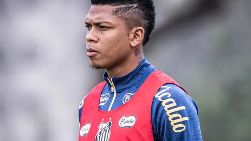Billy Arce é reforço do Santos para pegar Avaí - Foto: Ivan Storti/Santos FC