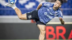 Santos e Avaí se encontram na 21ª rodada da Série B.