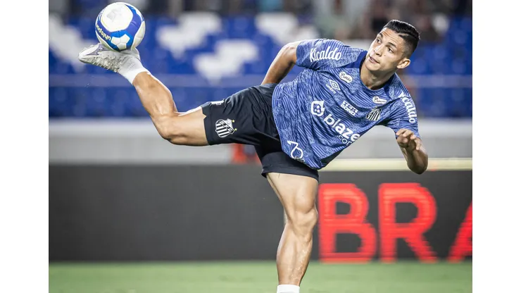 Santos e Avaí se encontram na 21ª rodada da Série B.