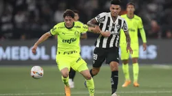 Botafogo x Palmeiras na Libertadores.