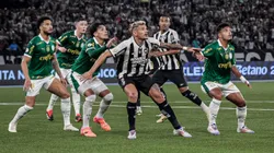 Botafogo e Palmeiras se enfrentando pelo Campeonato Brasileiro de 2024.