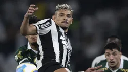 Tiquinho Soares pelo Botafogo em partida diante do Palmeiras. Foto: Jorge Rodrigues/AGIF