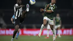 Botafogo receberá Palmeiras pela ida das oitavas da Libertadores, no estádio Nílton Santos (Foto: Jorge Rodrigues/AGIF)