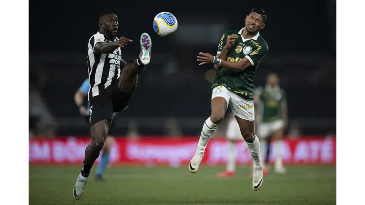Botafogo receberá Palmeiras pela ida das oitavas da Libertadores, no estádio Nílton Santos (Foto: Jorge Rodrigues/AGIF)
