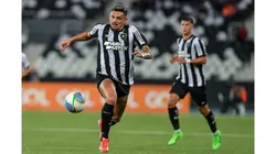 Foto: Thiago Ribeiro/AGIF - Botafogo e Juventude se enfrentam neste domingo (11) pelo Brasileirão Série A 2024
