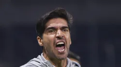 Abel Ferreira durante jogo do Brasileirão. Treinador dispensa meia.