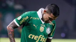 Dudu, ídolo do Palmeiras