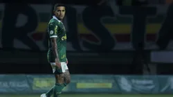 Atleta Alviverde ganha mais oportunidades após a grave lesão