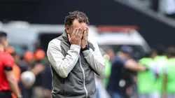 Milito é criticado pela torcida do Galo