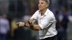 SAO PAULO, BRAZIL - MAY 10: Renato Gaucho, head coach of Gremio gestures during a match between Palmeiras and Gremio as part of Brasileirao Series A 2023 at Allianz Parque on May 10, 2023 in Sao Paulo, Brazil. (Photo by Alexandre Schneider/Getty Images)