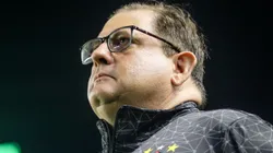 Guto Ferreira, treinador do Sport, durante partida contra o Peixe , na Vila Belmiro, pela Série B do Campeonato Brasileiro, no dia 02/08/2024.