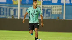 Vila Nova e Paysandu se encaram na 19ª rodada.