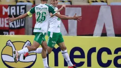 Chapecoense encara o Mirassol na 19ª rodada da Série B.