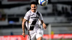 Ponte Preta e Avaí se enfrentam neste fim de semana pela Série B.