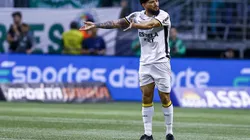 Criciúma e Atlético-GO duelam pela 29ª rodada.