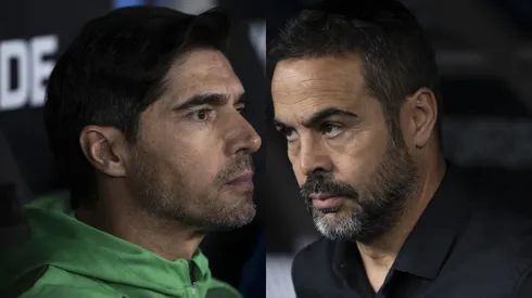 Palmeiras x Botafogo no Brasileirão. Foto: Thiago Ribeiro