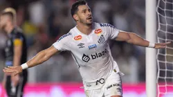 Giuliano jogador do Santos comemora seu gol durante partida contra o Operário. Foto: Beno Kuster Nunes/AGIF