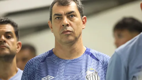 Fabio Carille técnico do Santos durante partida contra o Novorizontino. Foto: Reinaldo Campos/AGIF