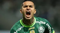 Dudu no Botafogo? Clube do RJ consultou ídolo do Verdão, mas BFR nega