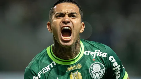 Dudu no Botafogo? Clube do RJ consultou ídolo do Verdão, mas BFR nega