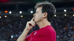 Fernando Diniz foi o plano B do Cruzeiro após Seabra