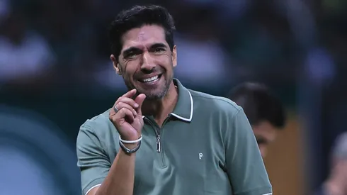 Botafogo e Palmeiras disputam o título do Brasileirão - Foto: Ettore Chiereguini/AGIF.