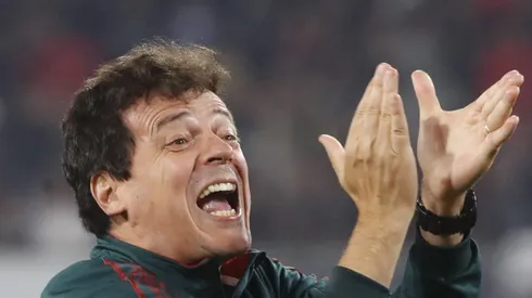 Ex-Fluminense, Fernando Diniz topa assumir o Flamengo em 2025