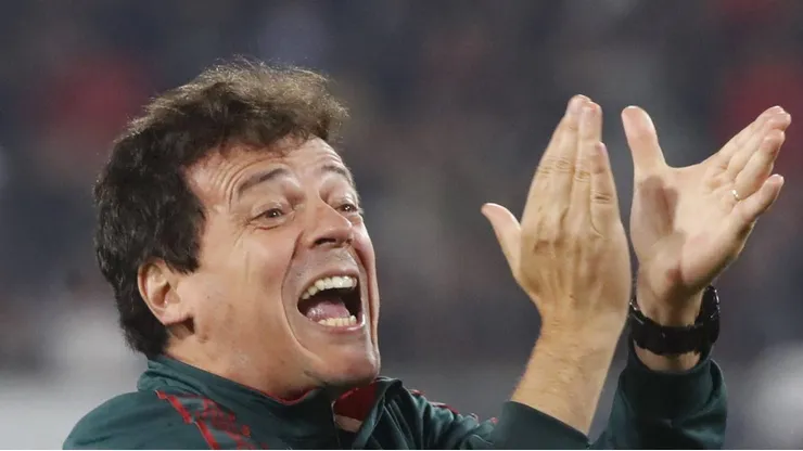 Ex-Fluminense, Fernando Diniz topa assumir o Flamengo em 2025
