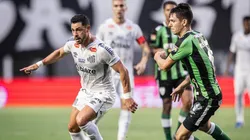 Raul Barreto / Santos