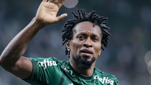 Zé Roberto foi um dos grandes pilares da reconstrução do Palmeiras na década passada