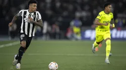 Botafogo e Palmeiras são os mais cotados para ganhar o Brasileirão