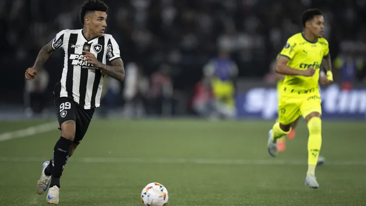 Botafogo e Palmeiras são os mais cotados para ganhar o Brasileirão