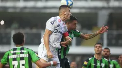 Foto: Reprodução / Santos