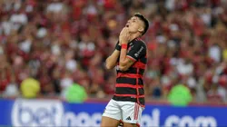 Atacante atuou poucos minutos antes de sentir a lesão