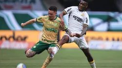 Palmeiras x Criciúma pelo Campeonato Brasileiro A 2024. Foto: Ettore Chiereguini/AGIF