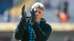 Renato Portaluppi tecnico do Gremio durante partida contra o Vitoria no estadio Francisco Stedile pelo campeonato Brasileiro A 2024.