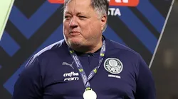 Anderson Barros há tempos desperta interesse em rival - (Foto: Cesar Greco/Palmeiras/by Canon)