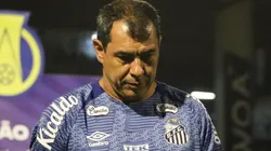 Fábio Carille durante partida entre Avaí e Santos, no Estádio Ressacada, pela Série B do Campeonato Brasileiro, no dia 26/04/2024.