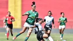 Equipes se enfrentam no domingo (8). Divulgação/Staff Images/CBF.