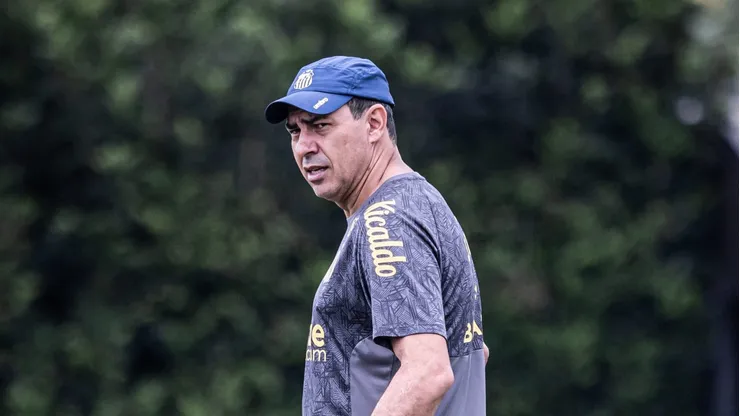 Carille sofre com desfalques no Santos. Foto: Raul Baretta/ Santos FC