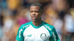 SP - NOVO HORIZONTE - 21/01/2024 - PAULISTA 2024, NOVORIZONTINO X PALMEIRAS - Caio Paulista jogador do Palmeiras durante partida contra o Novorizontino no estadio Jorge Ismael de Biasi pelo campeonato Paulista 2024. Foto: Pedro Zacchi/AGIF