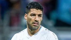 BA - SALVADOR - 04/12/2023 - ARQUIVO LUIZ SUAREZ - Luiz Suarez jogador do Gremio durante partida contra o Bahia na data de 01 de julho de 2023 no estadio Arena Fonte Nova pelo campeonato Brasileiro A 2023. Foto: Jhony Pinho/AGIF