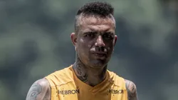 Luan, ídolo e meia ex-Grêmio - Foto: Ivan Storti/Santos FC