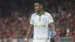 Palmeiras vence furacão fora de casa e se garante no G4
