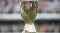 Taça do Paulistão. Foto: Reinaldo Campos/AGIF